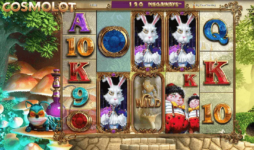 white rabbit
